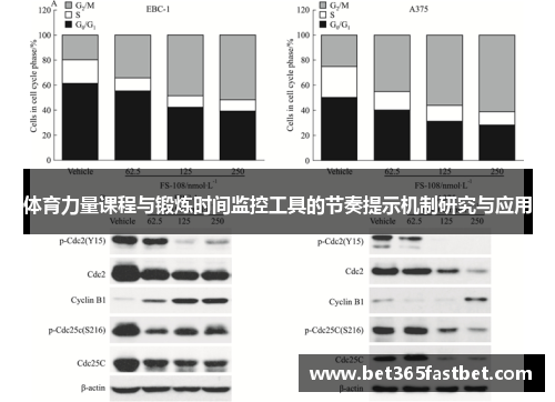 体育力量课程与锻炼时间监控工具的节奏提示机制研究与应用